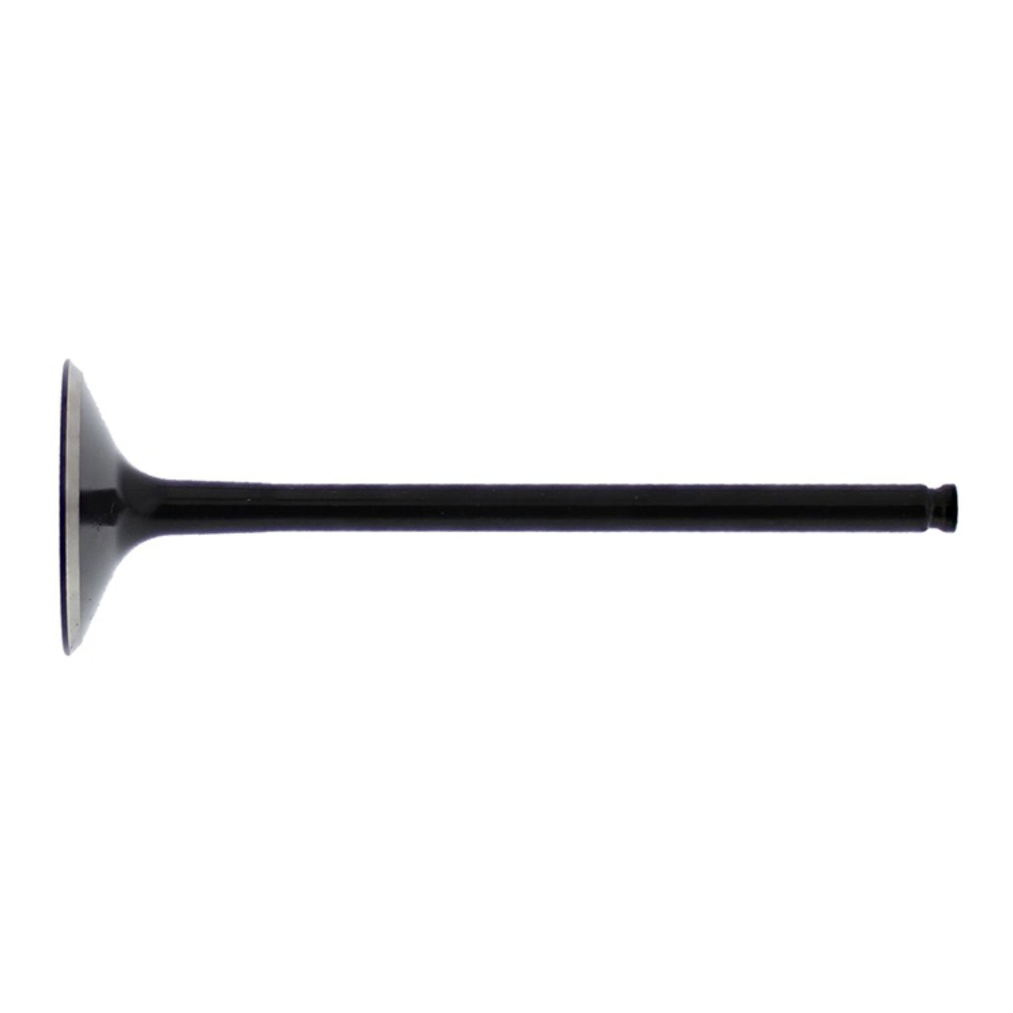 Hot Cams Valve Exhaust Steel