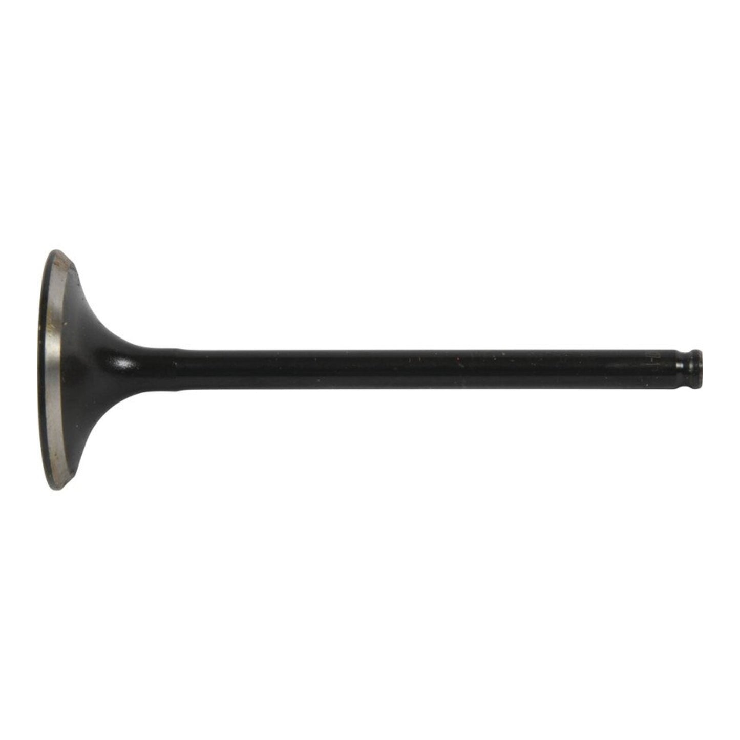 Hot Cams Valve Exhaust - Steel