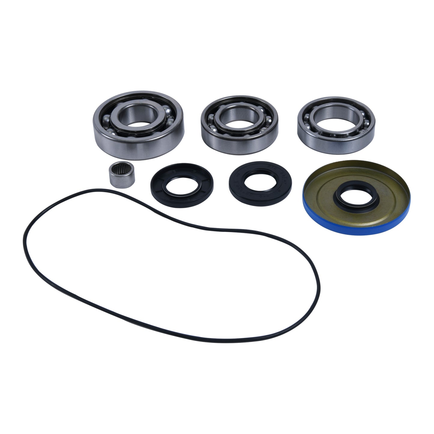 DIFFERENTIAL BEARING AND SEAL KIT 25-2117