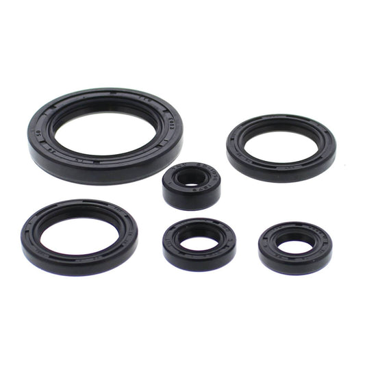 Oil Seal Kit 822978