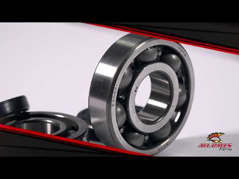 Crank Shaft Seal Kit 24-2008